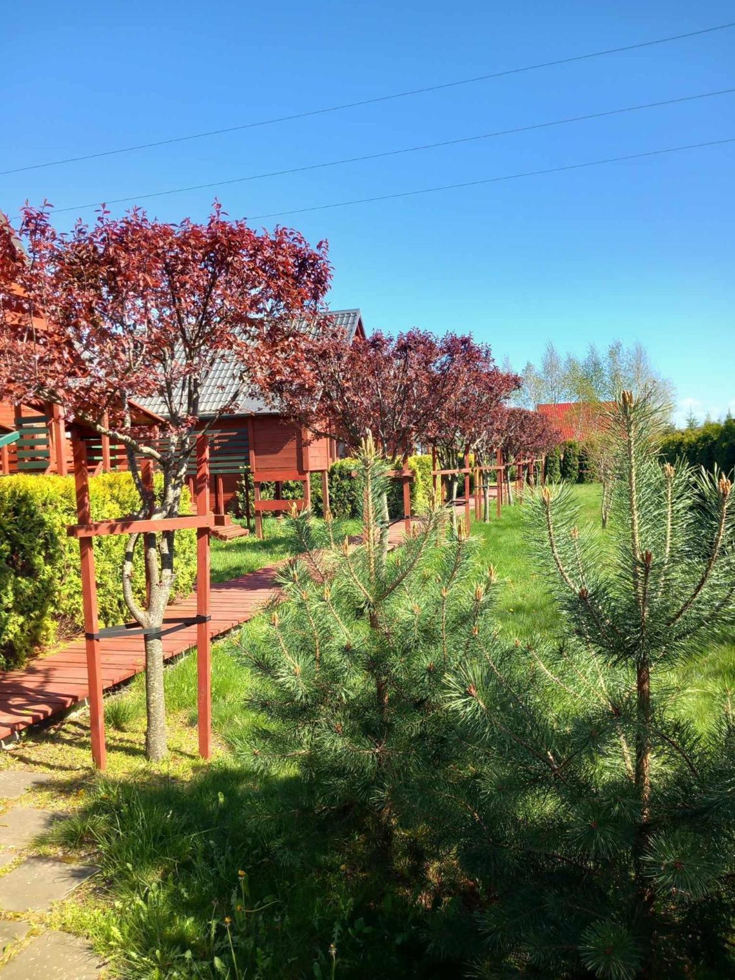 Mandarynka Ow Villa Jarosławiec Buitenkant foto